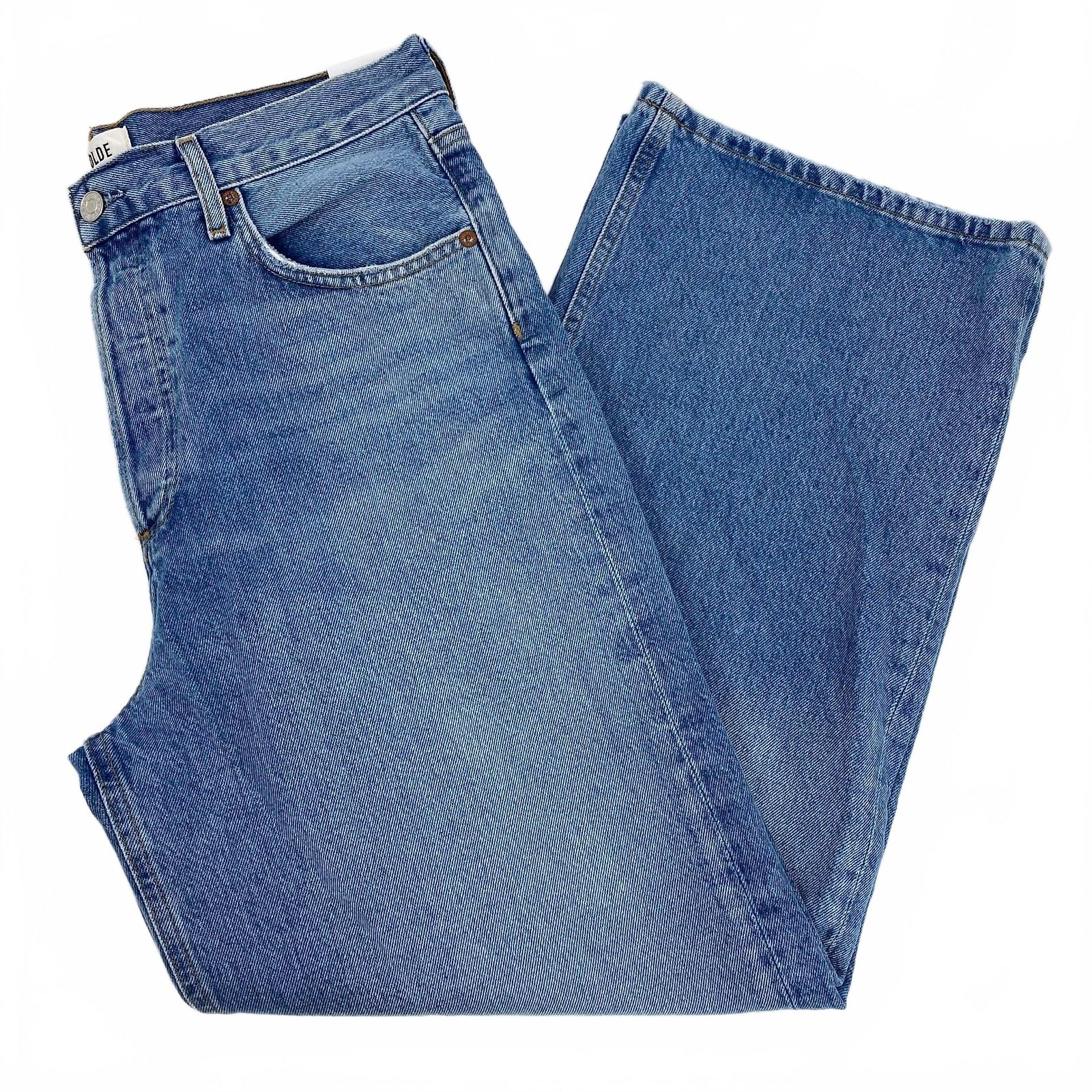 Agolde Blue Ren High Rise Wide Leg Jeans