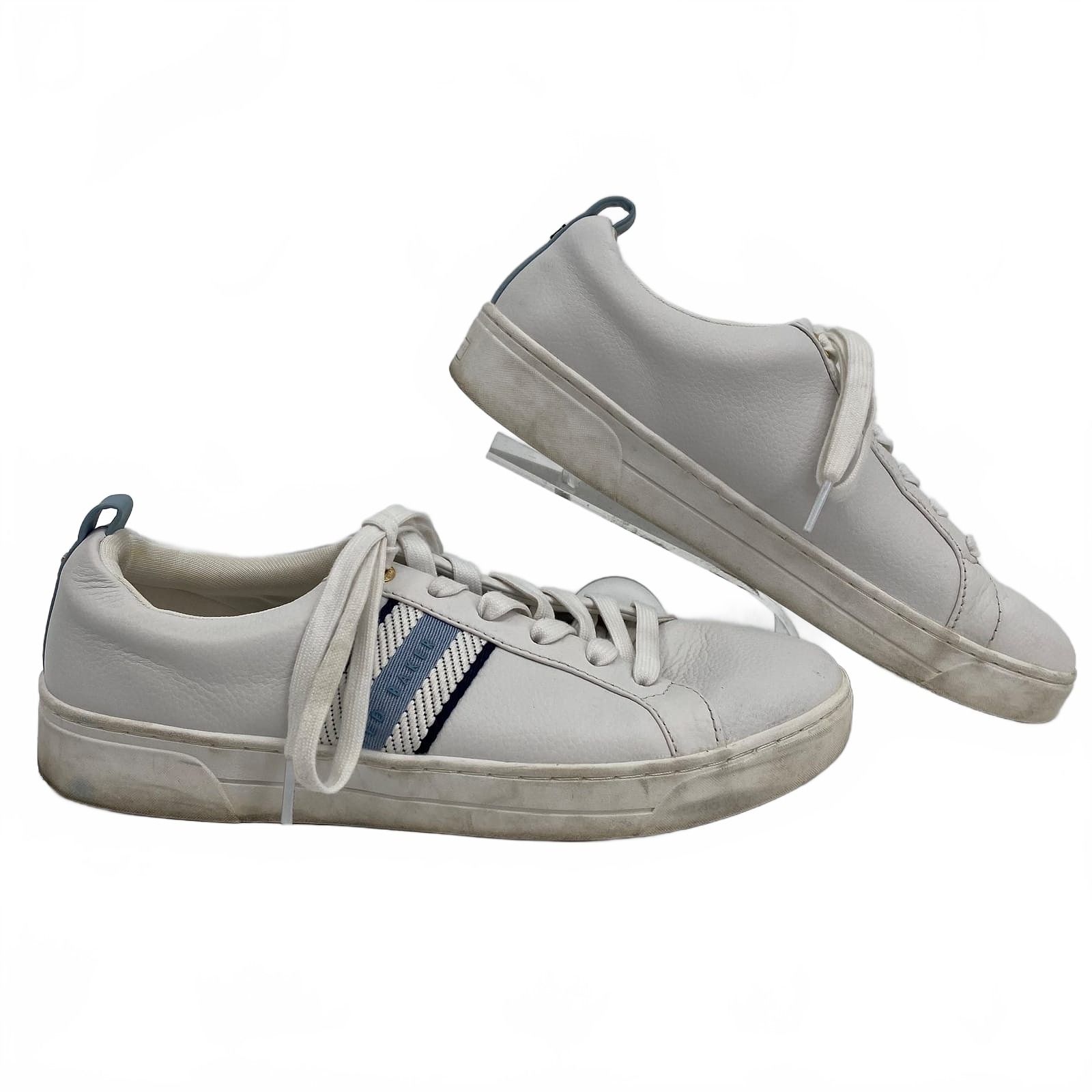 Ted Baker White Blue Sneakers