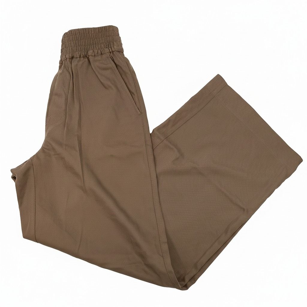 Madewell Brown Wide-Leg Dress Pants