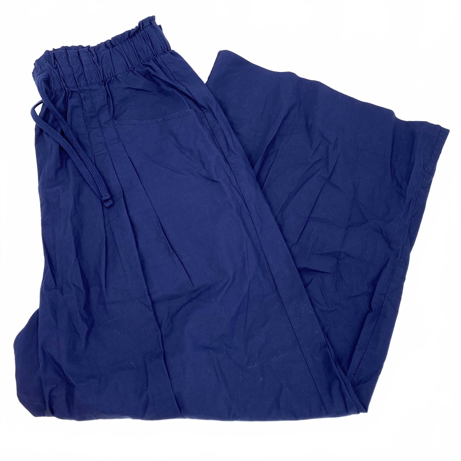 Maeve Blue Pleated Wide Leg Pants